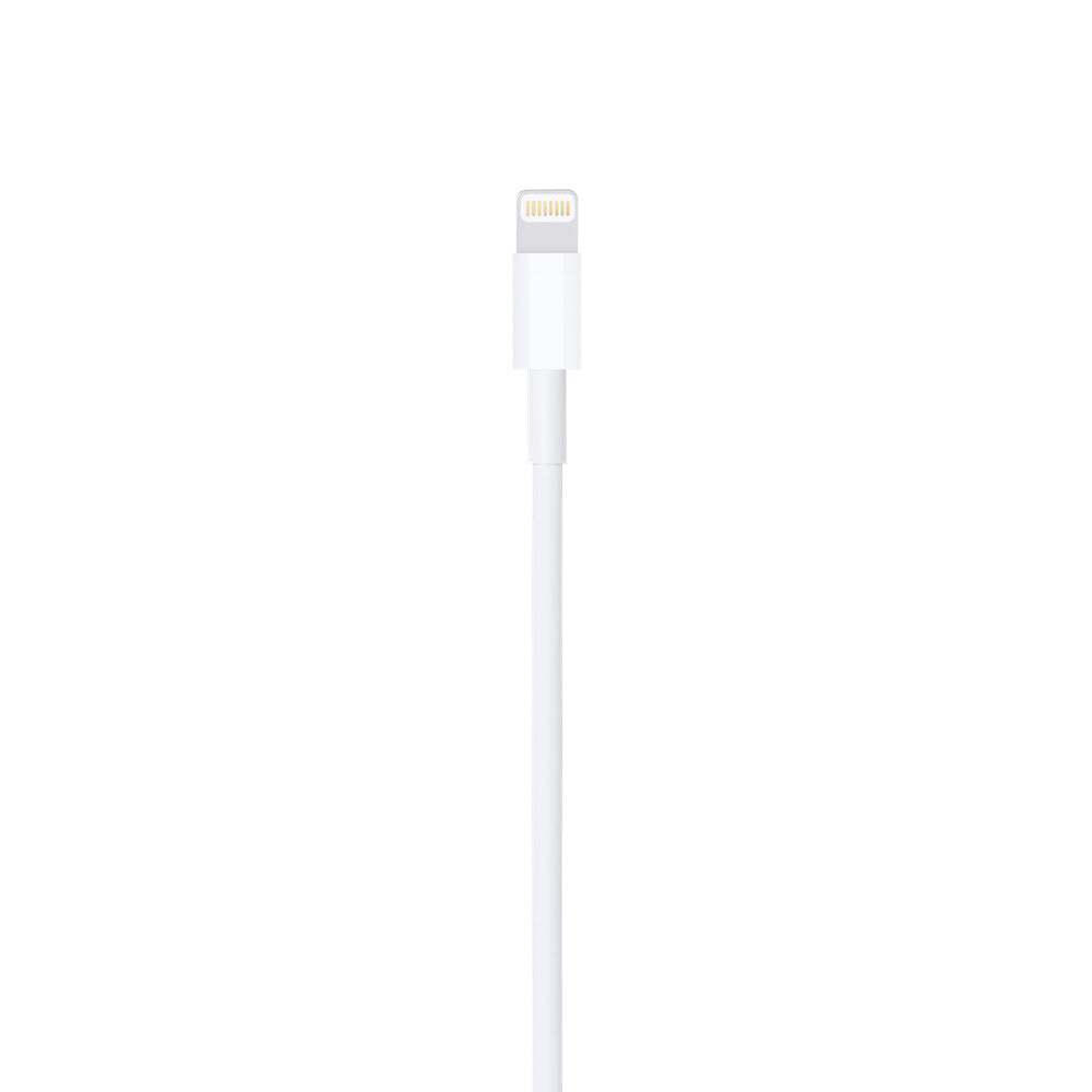 Apple Lightning to USB Cable (1m)