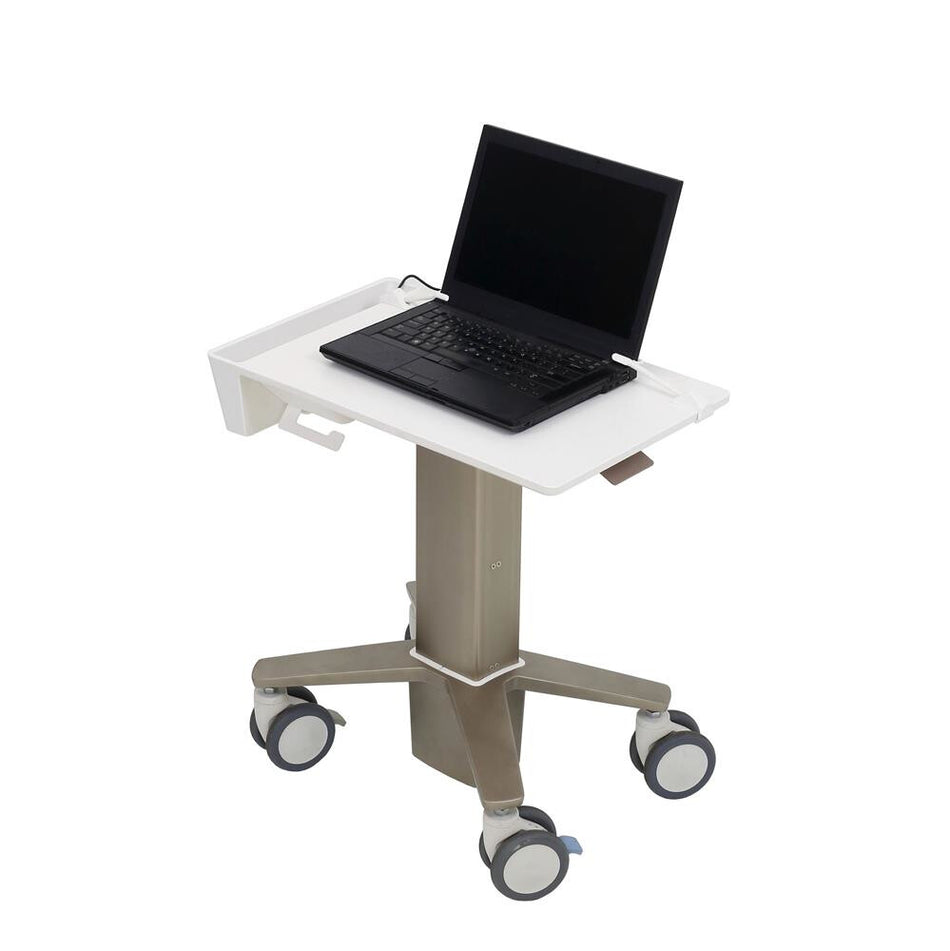 Ergotron C50-1100-0 laptop stand Grey 39.6 cm (15.6")