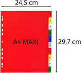 Exacompta 84E divider Polypropylene (PP) Multicolour