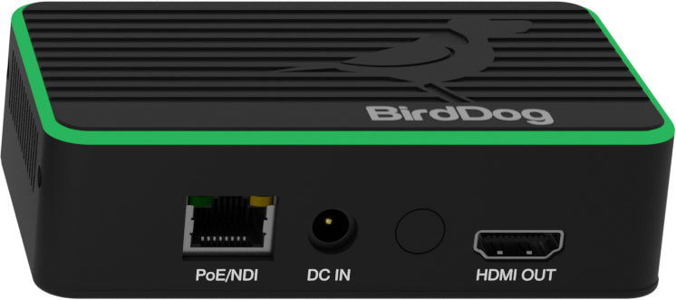 BirdDog Flex 4K OUT video servers/encoder