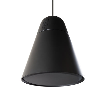 Biamp Desono P60DT Two-Way 6.5-inch Pendant Mount Loudspeaker Black