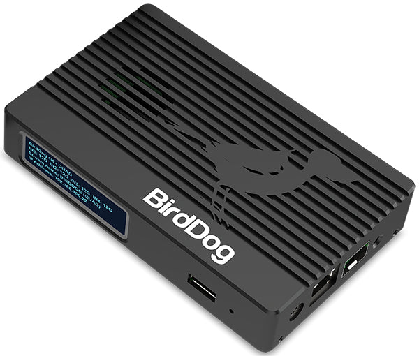 BirdDog 4K 12G SDI 2 channels 3840 x 2160 pixels