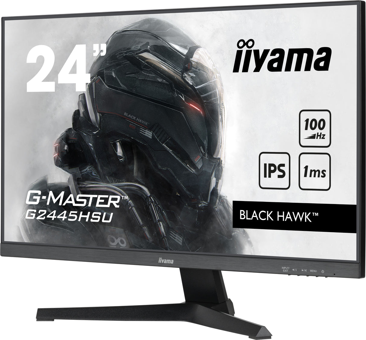 iiyama G-MASTER computer monitor 61 cm (24") 1920 x 1080 pixels Full HD LED Black