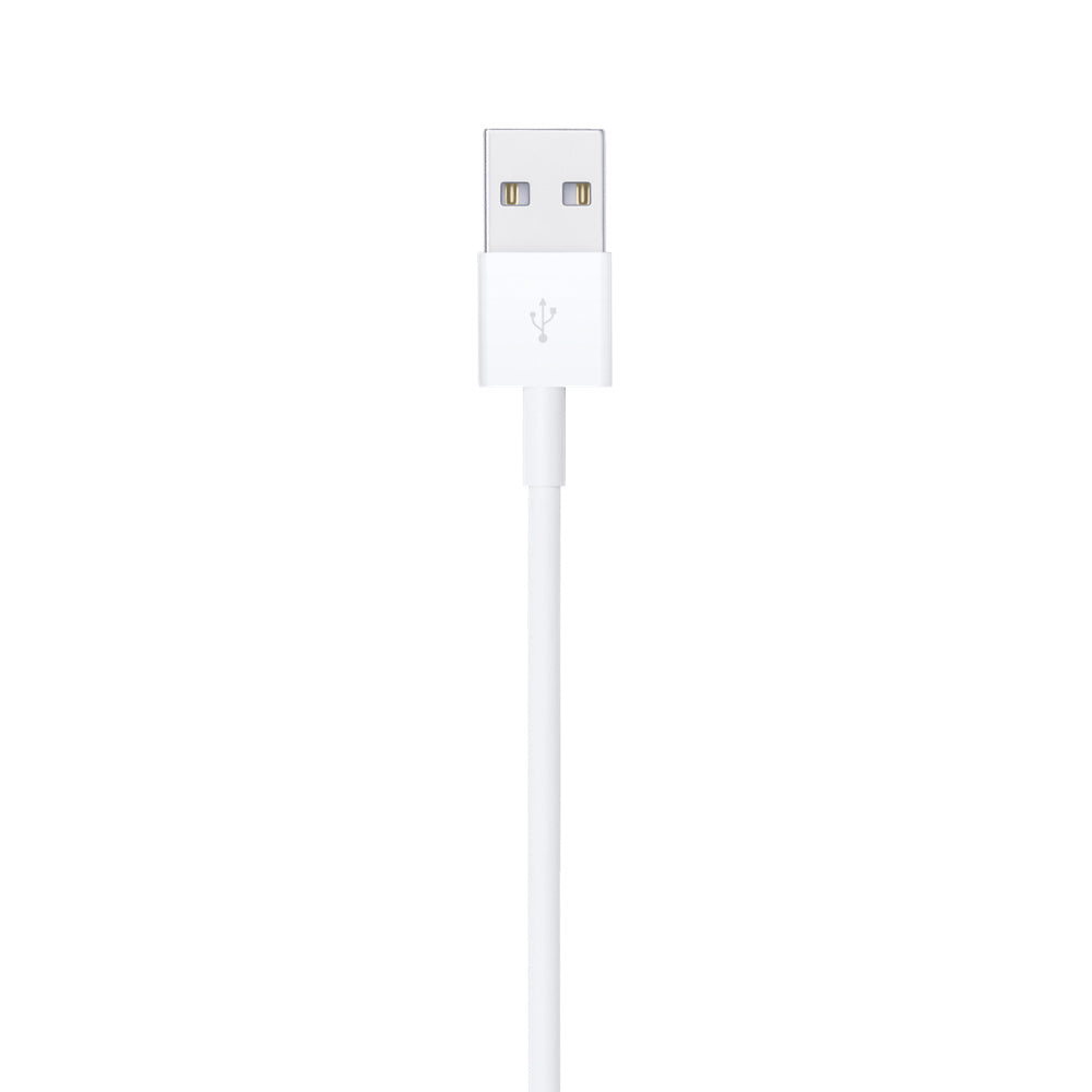 Apple Lightning to USB Cable (1m)