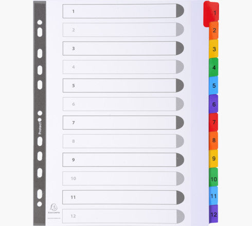 Exacompta 4112E divider Carton White