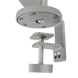 Chief Koncīs Monitor Arm Mount, Single, Silver