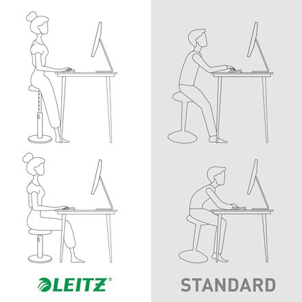 Leitz Ergo Cosy Active Padded seat