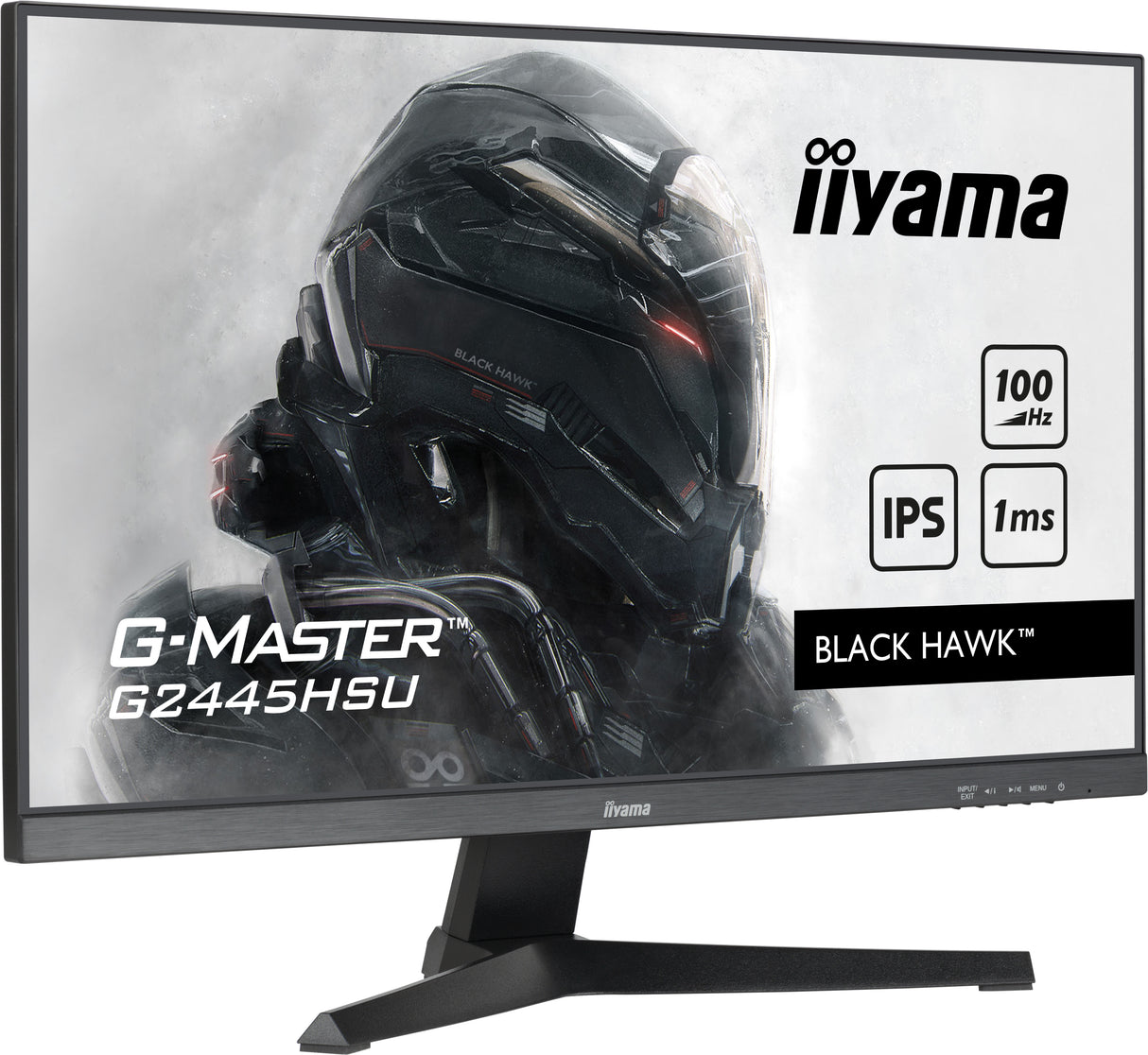 iiyama G-MASTER computer monitor 61 cm (24") 1920 x 1080 pixels Full HD LED Black