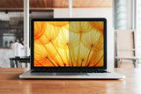 3M BPNHP001 display privacy filter 33.8 cm (13.3") Laptop Frameless display privacy filter