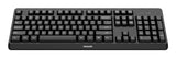 Philips 3000 series SPK6307BL/40 keyboard Universal RF Wireless QWERTY English Black