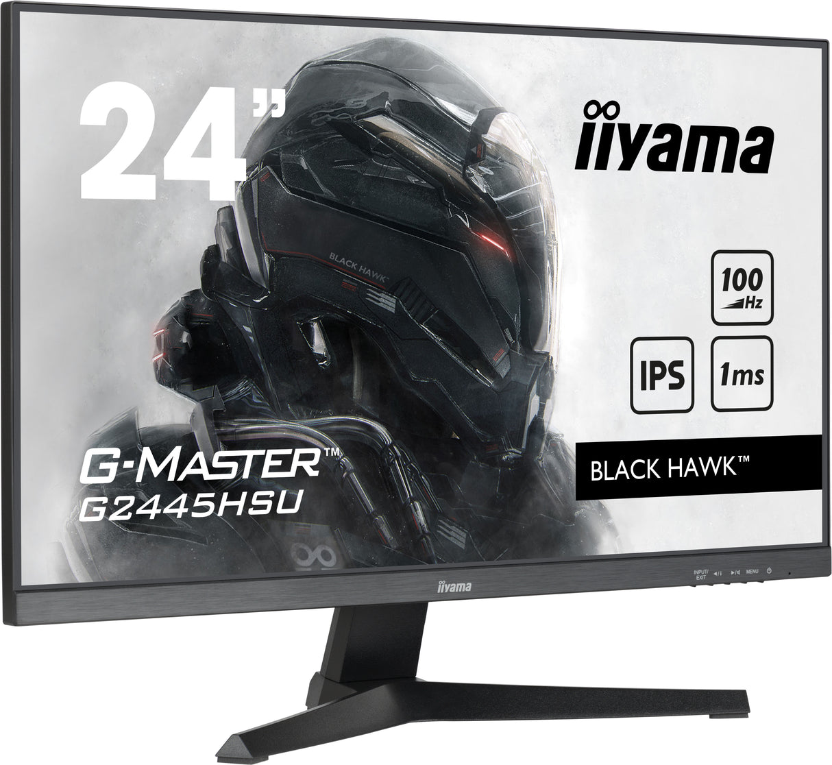 iiyama G-MASTER computer monitor 61 cm (24") 1920 x 1080 pixels Full HD LED Black