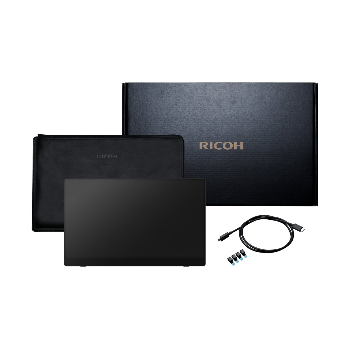 Ricoh Portable Monitor 150